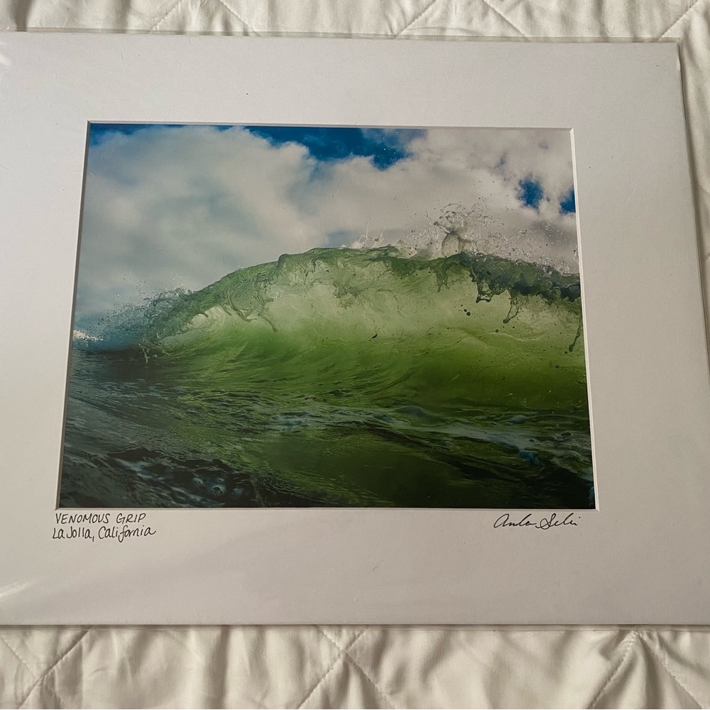 Windansea Womp 16” X 20” Mat In Plastic Wrap Print